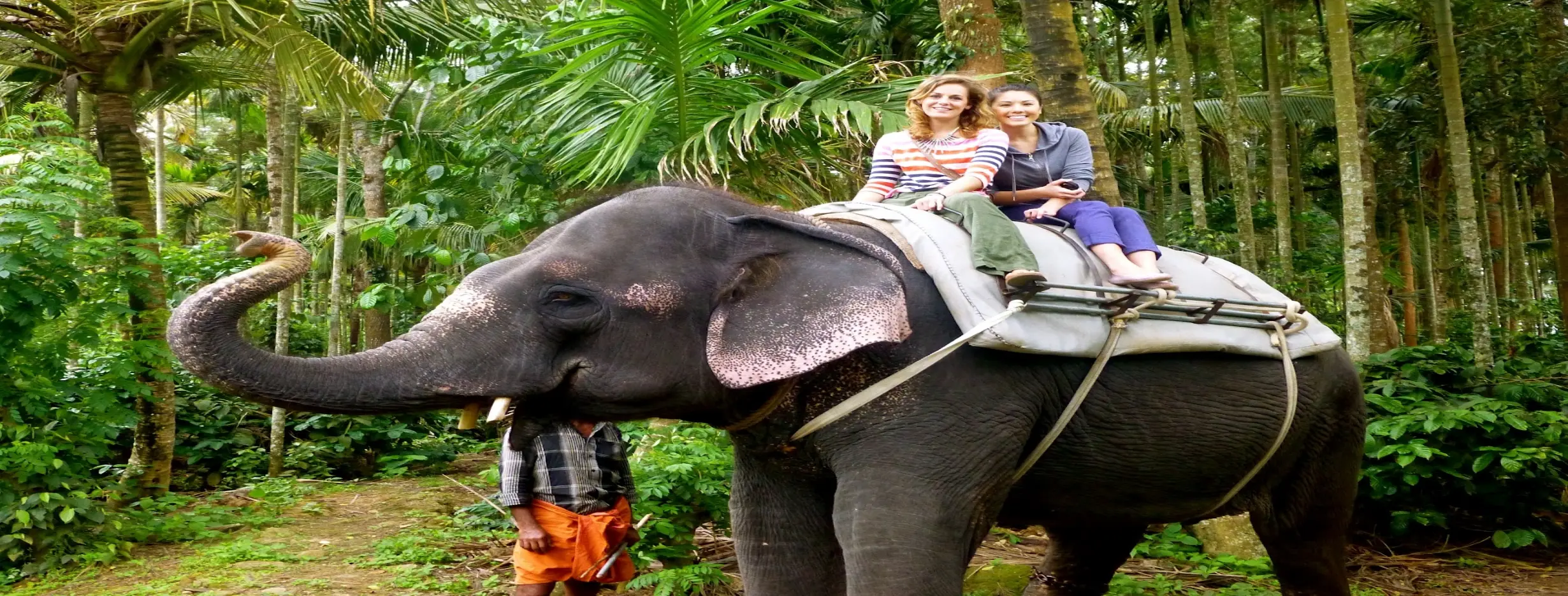 Image for Elephant Rides